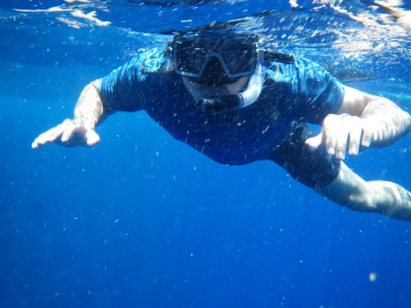 Illustration for article titled Review: Pentax W60 Waterproof Camera Catching Whale Sharks